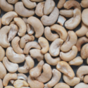 Nigeria’s Cashew And Cocoa Industries: A Glimpse Into Opportunities And Challenges
