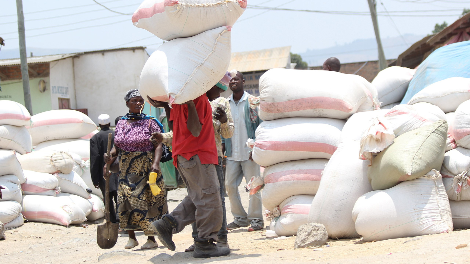 Africa’s Ambitious Drive Towards Rice Self-Sufficiency and Export Capability