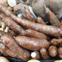 Boosting Africa’s Cassava Trade: The Role Of Market Access And Connectivity