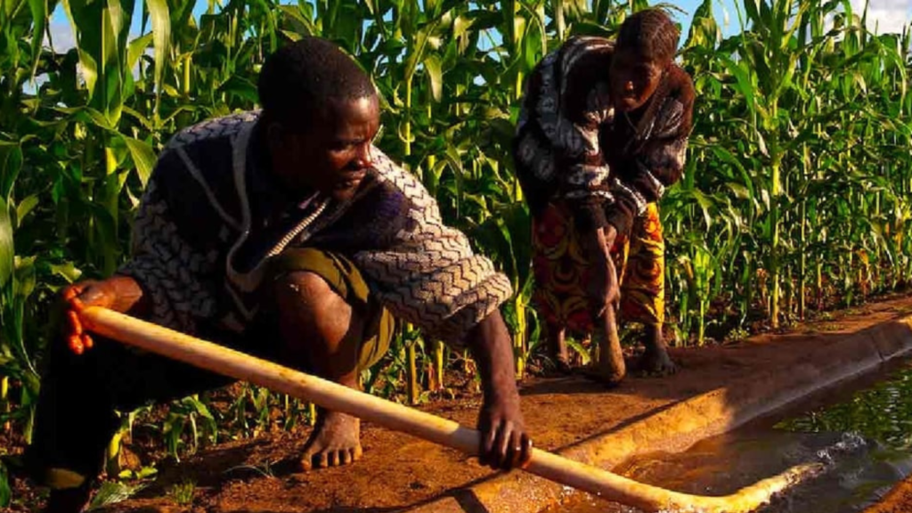 African Development Fund’s $22.7 Million Grant to Boost Malawi’s Agricultural Sector and International Competitiveness