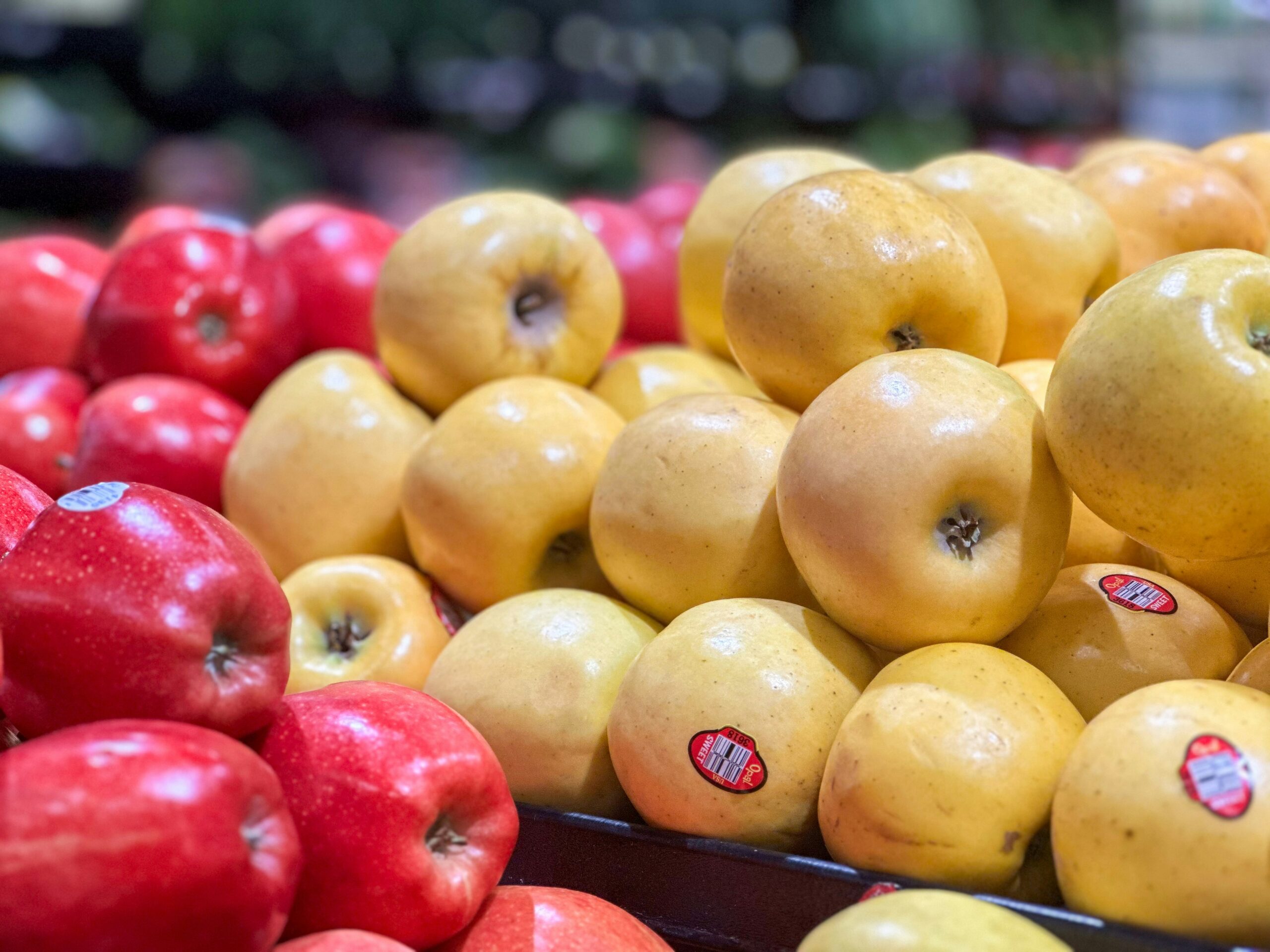 Market Access Africa 2025: Paving the Way for Africa’s Agricultural Transformation